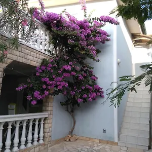 Apartament Korade, Vir